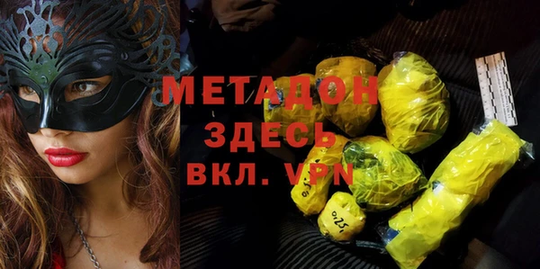 гашик Алексин