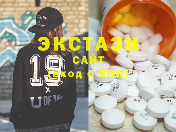 гашик Алексин
