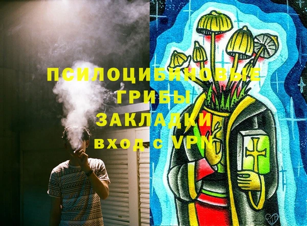 гашик Алексин
