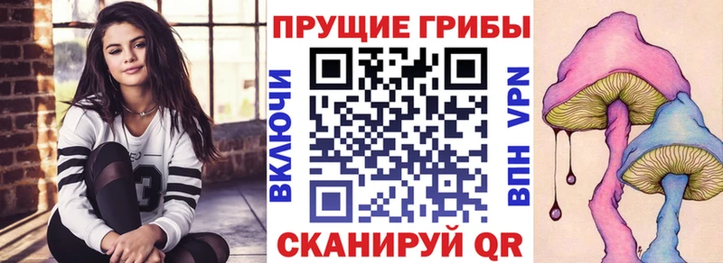 купить закладку Нефтекамск Галлюциногенные грибы ЛСД